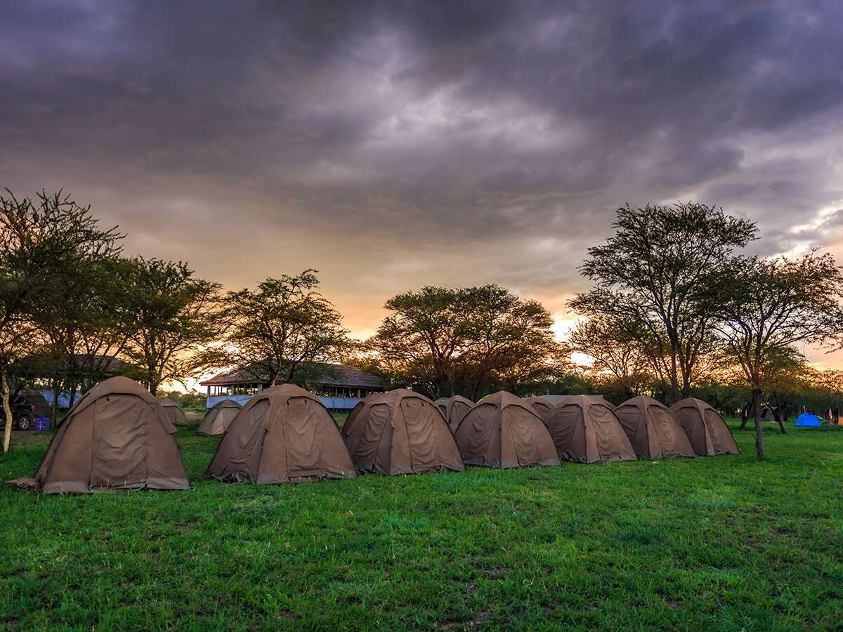 serengeti-on-budget-1 (1)